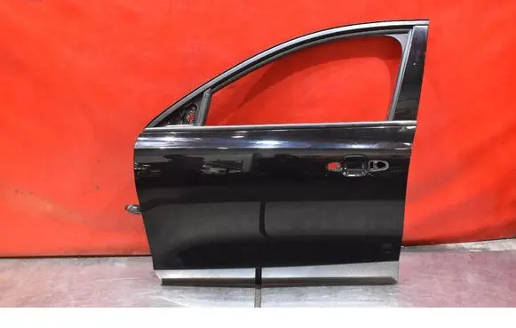 Ford Focus Front door 