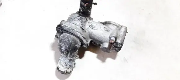 Ford Focus Engine coolant pipe/hose