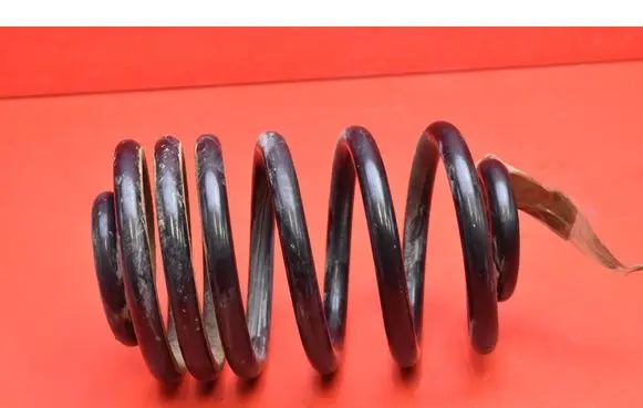 Rear coil spring