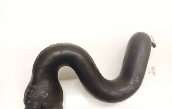 Audi A4 S4 B7 8E 8H Intercooler hose/pipe 8E0145834