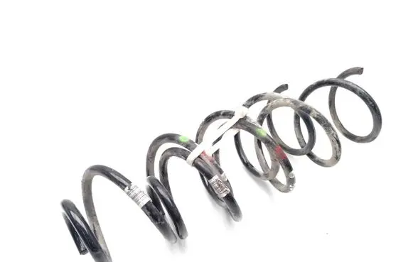 Rear coil spring
