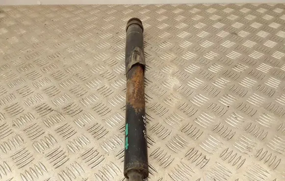 Chrysler Crossfire Rear shock absorber/damper 2083230198 A1933260100