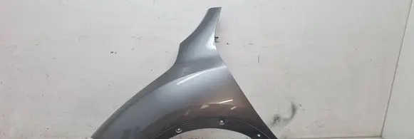 Nissan Juke I F15 Fender 3109ATS