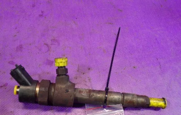 Fiat Multipla Fuel injector 0445110119