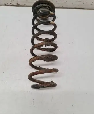 Rear coil spring