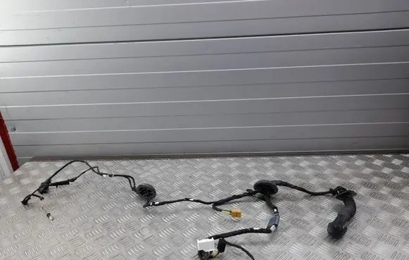 Audi A4 S4 B9 Rear door wiring loom 8W0971687AC