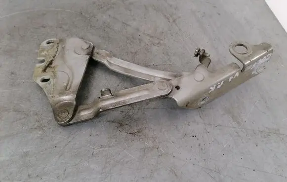 Volkswagen Golf Plus Engine bonnet/hood hinges 5M0823301