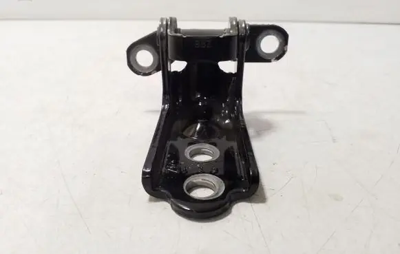 Rear door lower hinge