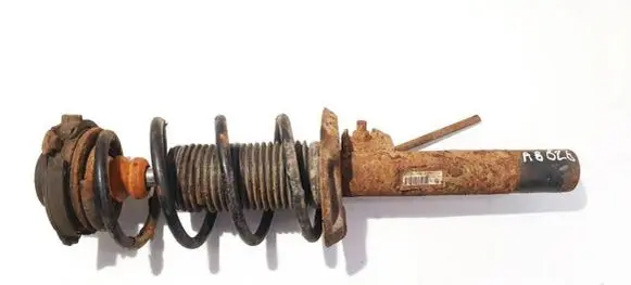 Volkswagen Golf V Front shock absorber/damper 1k0413031be