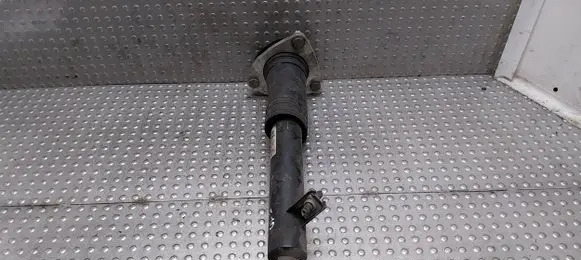 BMW X5 E70 Rear shock absorber/damper 6782875