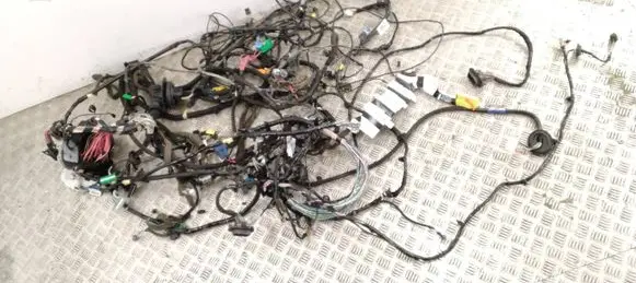 Renault Laguna III Other wiring loom 240140178R 241630071R