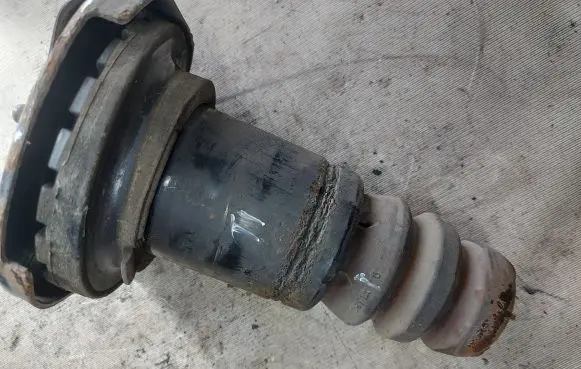 Coil spring mount