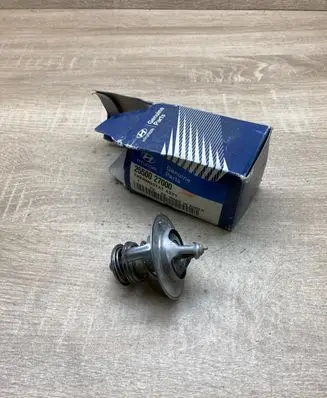 Hyundai Accent Thermostat 2550027000