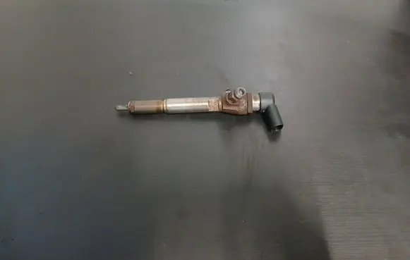 Nissan Qashqai Fuel injector H8200294788 8200380253