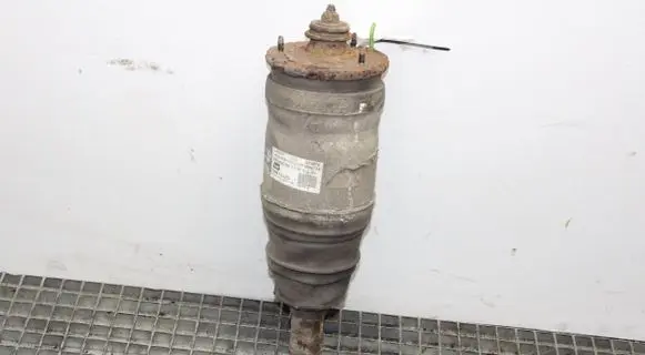 Land Rover Range Rover Sport L320 Rear shock absorber/damper 3498724
