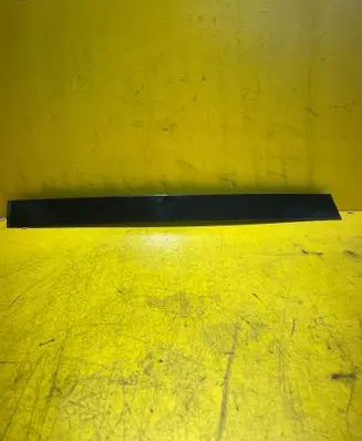 BMW X3 E83 Rear door trim (molding)