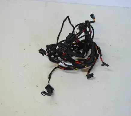 Other wiring loom