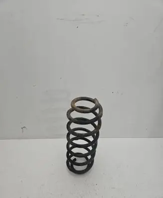 Volkswagen New Beetle Rear coil spring