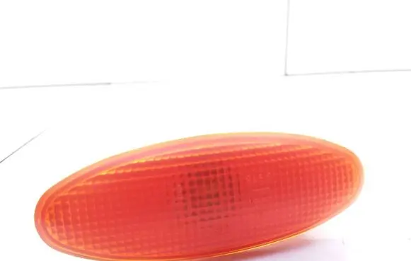 Front fender indicator light
