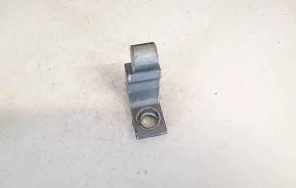 Audi Q5 SQ5 Rear door lower hinge