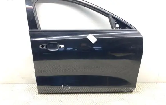 Ford Focus Front door 