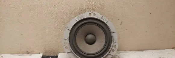 Rear door speaker