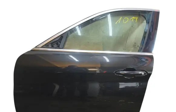 Alfa Romeo Giulia Front door 