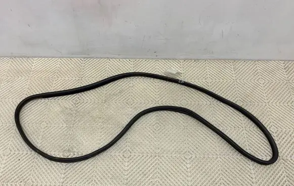 BMW X6 E71 Rubber seal front door (on door) 