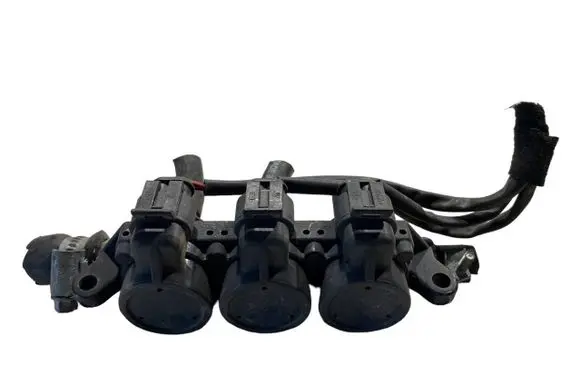 Volkswagen Touran I LP gas injector 110R000123 67R010290 541101000