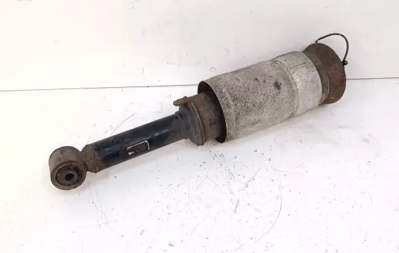 Land Rover Range Rover Sport L320 Air suspension front shock absorber 22249855