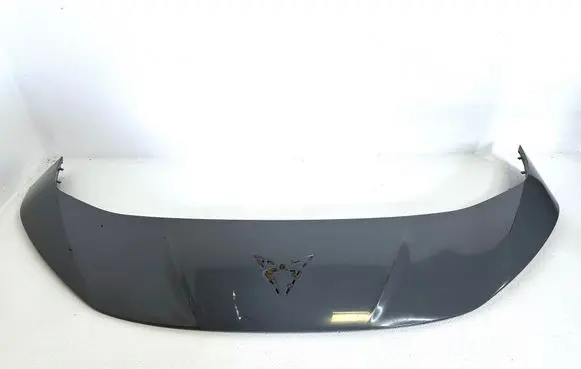 Cupra Born Front bumper splitter molding 10E806333