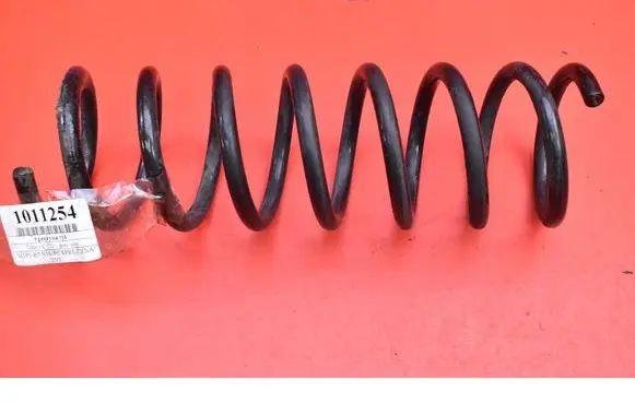 Rear coil spring