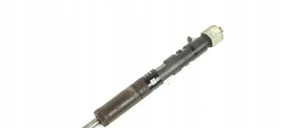 Renault Kangoo I Fuel injector EJBR05102D