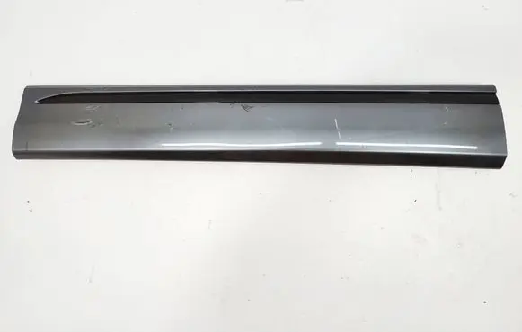 Audi Q8 Front door trim (molding) 4M8853959