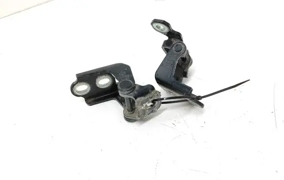 Renault Espace V (RFC) Rear door hinge set A046575