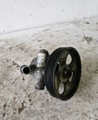 Citroen Berlingo Power steering pump 0880386996 SAP80193