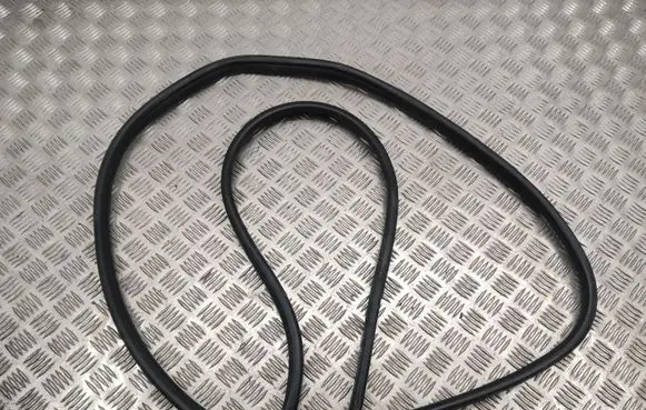 Toyota Prius+ (ZVW40) Front door rubber seal 