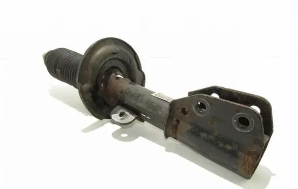 Opel Antara Front shock absorber/damper