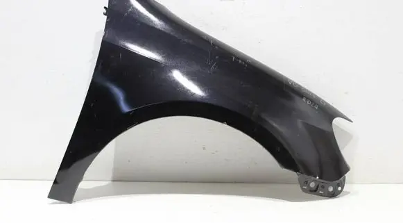 Volkswagen Golf VI Fender