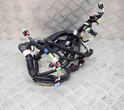 Tesla Model 3 Other wiring loom 206876700C