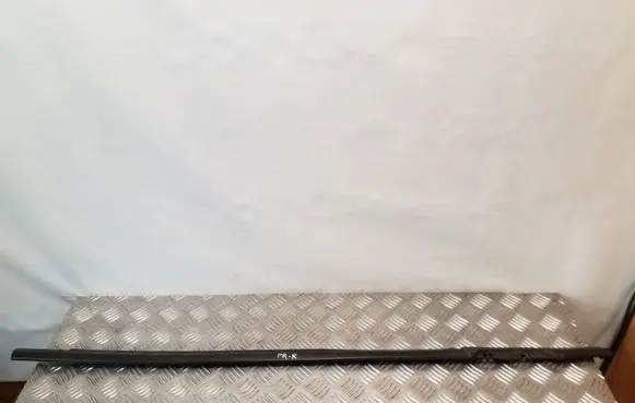 Citroen C8 Front door glass trim molding