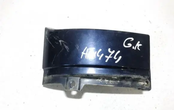 Rear/tail light trim molding