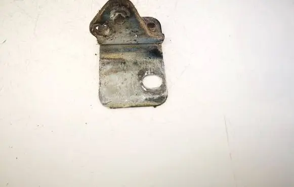 Volkswagen Golf IV Rear door lower hinge 