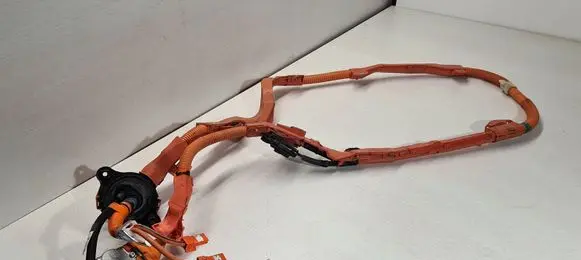 Lexus ES 250 - 300 - 330 Other wiring loom 821H133030