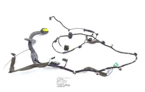 Renault Laguna III Front door wiring loom 241250194R