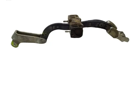 Rear door check strap stopper