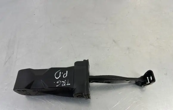 Volkswagen Touareg III Front door check strap stopper 760837267