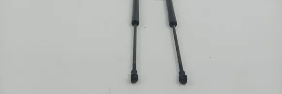 Tailgate/trunk strut/damper