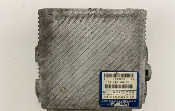 Peugeot 406 Engine control unit/module 9630466980 04010028B