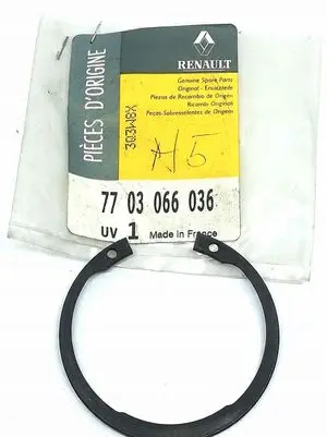 Dacia Sandero Rear wheel ball bearing 7703066036